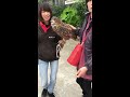 掛川の花鳥園でフクロウと楽しく。