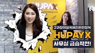 구과장의 HUPAYX사무실 급습작전!