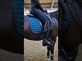 Vincere saddle pads