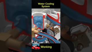 Working of cooling system in engine @masseygroup @masseywalepb65 @jaggatractorboss57