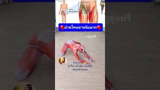 หายจริง ปวดโคนขาหนีบ ขาหนีบตึง #yoga #โยคะ #ออกกำลังกาย #ปวดขา #สุขภาพ #ครูตู่แฟรี่  #นวด