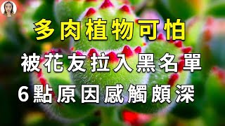 新手注意！多肉植物已经被拉入黑名单，6個原因一个比一个精辟，看完再决定你还要不要养多肉吧|花花世界