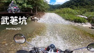 (free ride#16) 武荖坑林道｜戲水｜炎炎夏日消暑聖地 野溪露營好去處｜信大水泥上工專車。 一條路兩樣情 |monkey 125