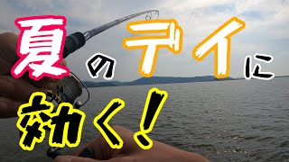 【夏のデイシーバス釣行】初心者にもオススメ！簡単に釣れるとあるバイブレーション！