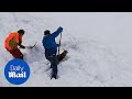 Chamois goat freed by train operators in Austria after avalanche