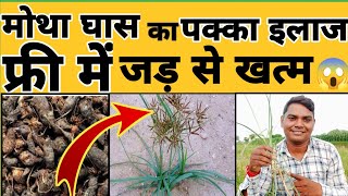 मोथा घास को कैसे खत्म करें😱|Motha Ghas Ko Control Kaise Kare |Motha Ghas Ki Dawa | Mera 71 Herbicide