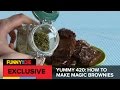 Yummy 420: How To Make Magic Brownies