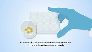 Advanced cell culture models to study lung health and disease