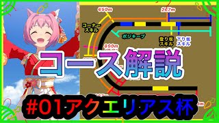 【アクエリアス杯/#01】コース解説【ウマ娘】