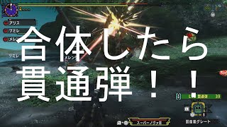 【MHXX】実況　攻略８７２ 集会所　HR１１　Ｇ３　重量級の女帝　ゲネル　セルタス　アルセルタス