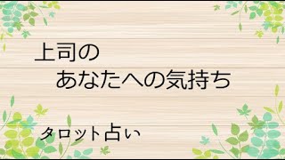 【タロット占い】上司のあなたへの気持ち！怖いほどよく当たるタロット占い