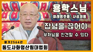 잡념을 끊어야 부처님을 친견할 수 있다 _ 용학스님 [통도사화엄산림대법회]