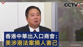 香港中华出入口商会会长林龙安：美涉港法案损人害己 | CCTV