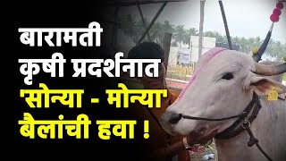 बारामती कृषी प्रदर्शनात 'सोन्या - मोन्या'ची हवा ! | Baramati | AgriculturalExhibition