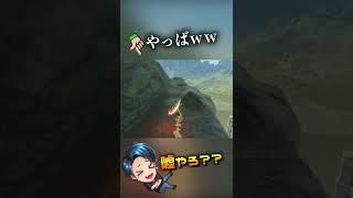 ブレワイが神ゲーだとわかる瞬間