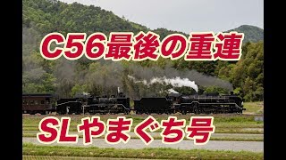 最初で最後のD51+C56重連SLやまぐち号~Double Steam Locomotive \