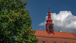 Věžní hodiny - radnice, Jihlava / Tower clock - Town hall, Jihlava (CZ)