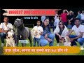 Exploring the Cheapest Dog Market in Uttar Pradesh ! dog market  ! dogexpress #dogexpress