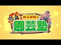 【園芸の基本】マグァンプk小粒の使い方を徹底解説！〜〇〇な時に使うと効果大！！～【園芸塾】【ハイポネックス】