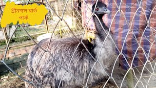 Bangladesh Biggest Bird Park \u0026 Breeding Centre । Dancing Bird Macaw। শ্রীমঙ্গল বার্ড পার্ক