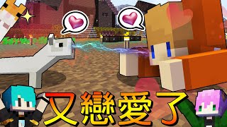 Minecraft冠冠_三傻亂世#21:超可愛新寵物！沒想到他最怕的竟然是...  @wintermelon1107 @mou666