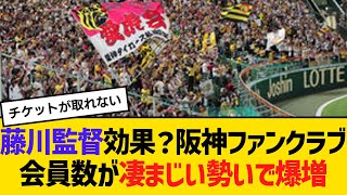 藤川監督効果？阪神公式ファンクラブ会員数が凄まじい勢いで爆増！　【ネットの反応】【反応集】