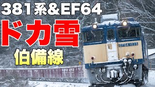 【鉄道写真】ドカ雪の伯備線で381系特急やくも、EF64貨物列車を撮影！