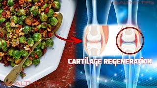 7 Healing Remedies to Repair Cartilage in Your Knees by Eating These Foods