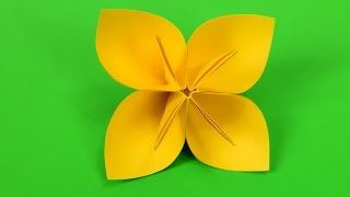 Kusudama Flower Origami