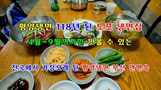 대구냉면 맛집  대구3대 평양냉면으로 알려져 있는 118년 된 유명한 노포냉면 맛집  ＃대구맛집 ＃대구3대냉면 ＃대구냉면 ＃평양냉면