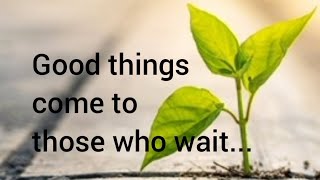 Patience is the Key | Awesome Buddha Quotes on Patience | Inspiring Quotes
