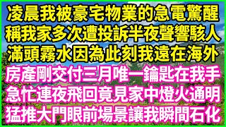 凌晨我被豪宅物業的急電驚醒，稱我家多次遭投訴半夜聲響駭人，滿頭霧水因為此刻我遠在海外，房產剛交付三月唯一鑰匙在我手，急忙連夜飛回竟見家中燈火通明，猛推大門眼前場景讓我瞬間石化！#情感故事 #花開富貴