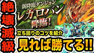 【レガロバン降臨】ノーチラス初手最終変身可能！ソロ１周約６分！ポイントを抑えれば簡単です【パズドラ】