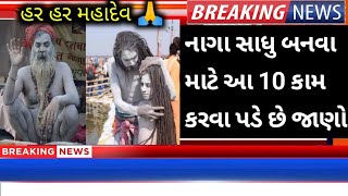 નાગા સાધુ બનવા માટે શું કરવું પડે છે જાણો | મહાશિવરાત્રી | શિવરાત્રી ૨૦૨૩ | Mahadev| Mahashivratri