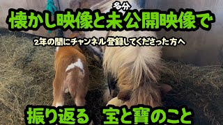 【2年の間にチャンネル登録してくださった方へ】懐かし映像と未公開映像で振り返る宝と寶のこと