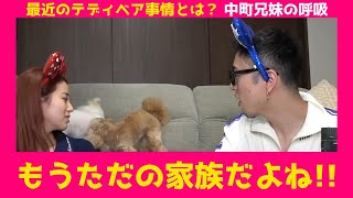 『最近のテディベア事情とは？』中町兄妹【切り抜き動画】