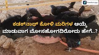 Kadaknath Chicken Farming Course Trailer in Kannada - Earn Rs 8 Lakh/1000 Birds | ffreedom app