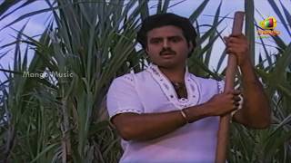 President Gari Abbayi Telugu Movie Songs | Chekkam Chekkam Video Song | Balakrishna | Suhasini