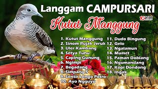 Download Lagu Langgam Cursari Kutut Manggung Dasastudio... MP3 Gratis