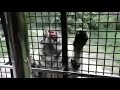 廣州動物園