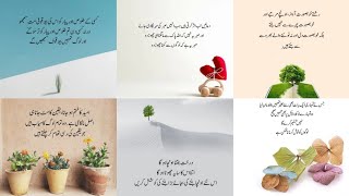 Best Urdu Quotes | Heart Touching Urdu Poetry I Islamic Urdu Shayari