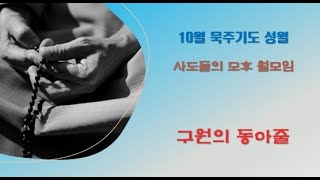 사도들의 모후 그룹 10월 월모임 (김태광 신부님)