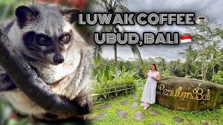 TRIED LUWAK COFFEE AKA 💩COFFEE IN UBUD, BALI 🇮🇩☕️ #luwakcoffee #bali #indonesia #travelvlog