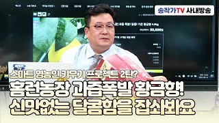 사내방송 220812 -[신제품] 홈런농장 과즙폭발 가온 황금향! 신맛은 전~혀 없는 13brix의 달콤함!  NO강제착색 NO강제코팅 NO강제후숙  NO제초제