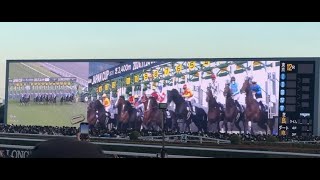 第44回ジャパンカップ 2024 Japan Cup