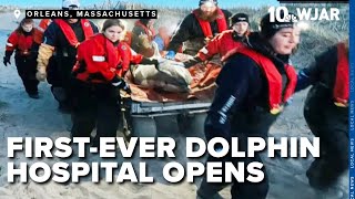 First of its kind dolphin hospital opens in Massachusetts