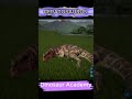 dinosaur academy ever wondered how ceratosaurus takes a nap uncover the sleep secrets now