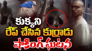 కుక్కని రే*ప్ చేసిన కుర్రాడు | Shocking Incident at Borivali Railway Station in Mumbai | Aadhan Live