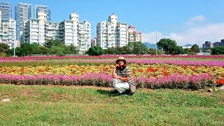 2023美堤河濱公園「野花系特色花海」