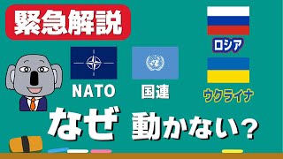 【ウクライナ情勢】NATOと国連はなぜロシアの侵略を止められないの？